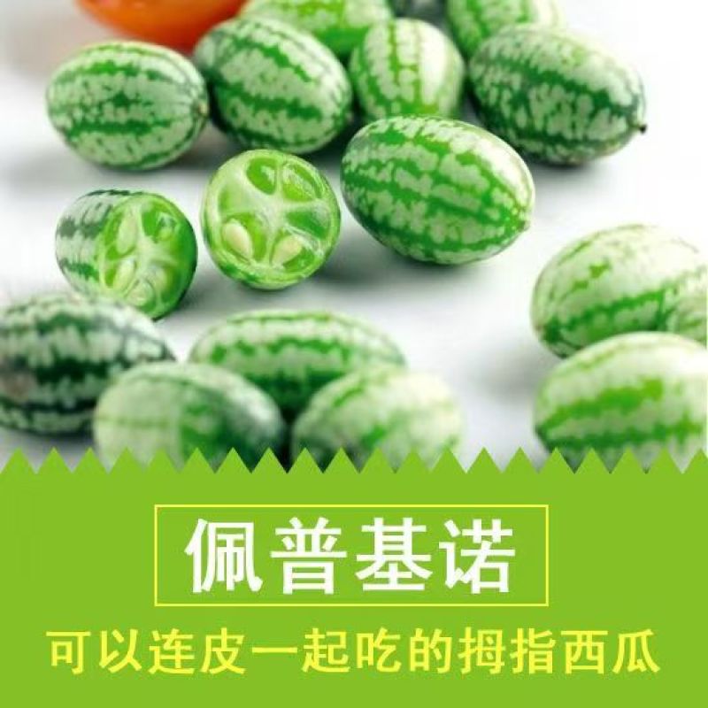 拇指西瓜小西瓜新鲜水果批发零售产场量大散装礼盒装