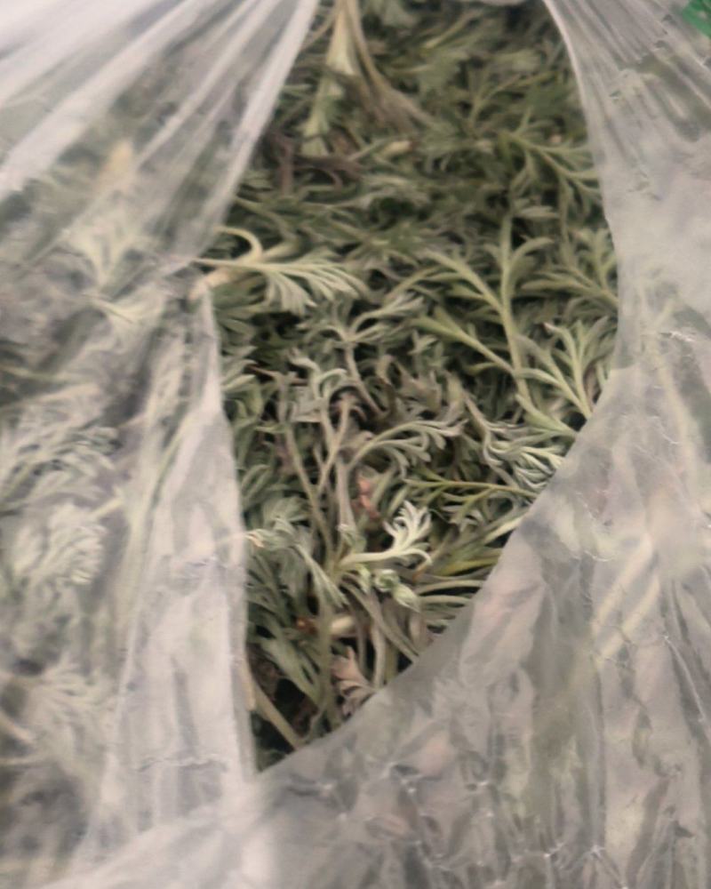 野菜白蒿