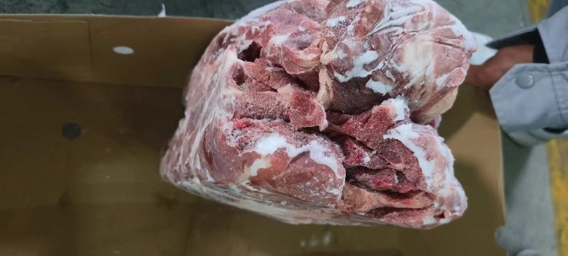 大日期709母猪一号肉，改国产包装临沂提19+