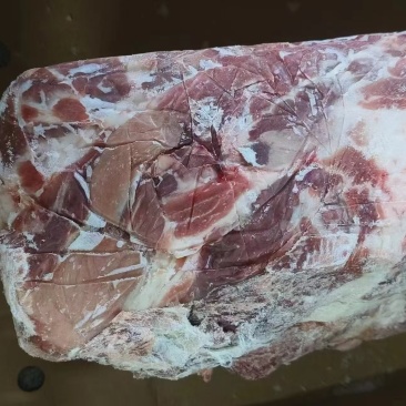 大日期709母猪一号肉，改国产包装临沂提19+