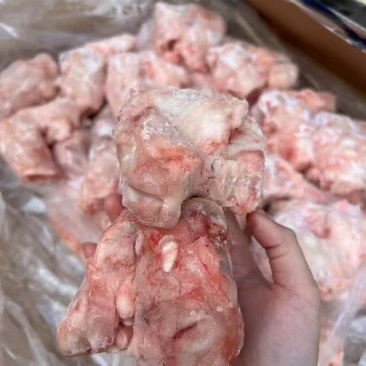 猪拐骨