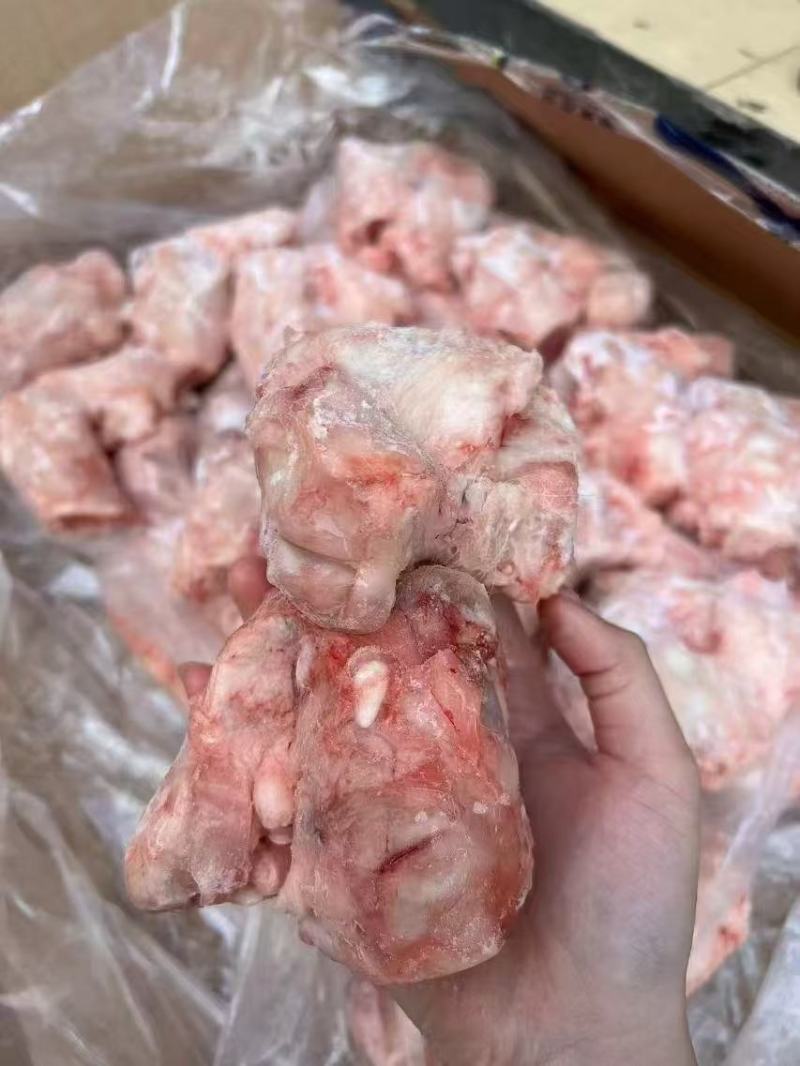 猪拐骨