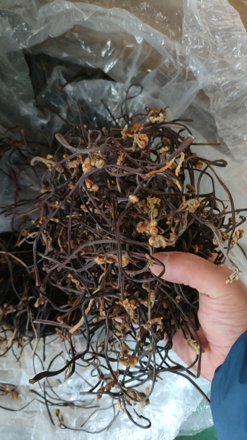 我想卖蕨菜干