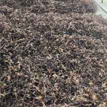 我想卖蕨菜干