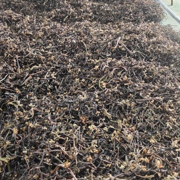 我想卖蕨菜干