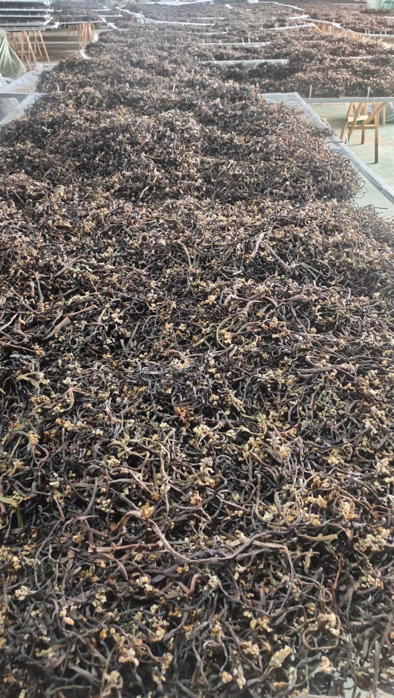 我想卖蕨菜干