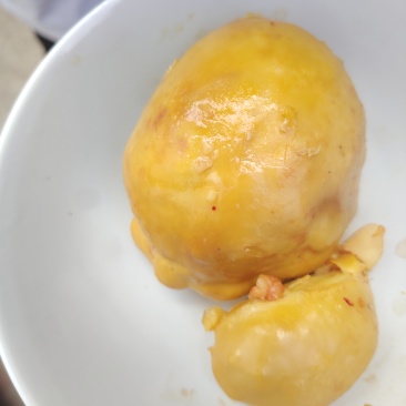 鸡宝