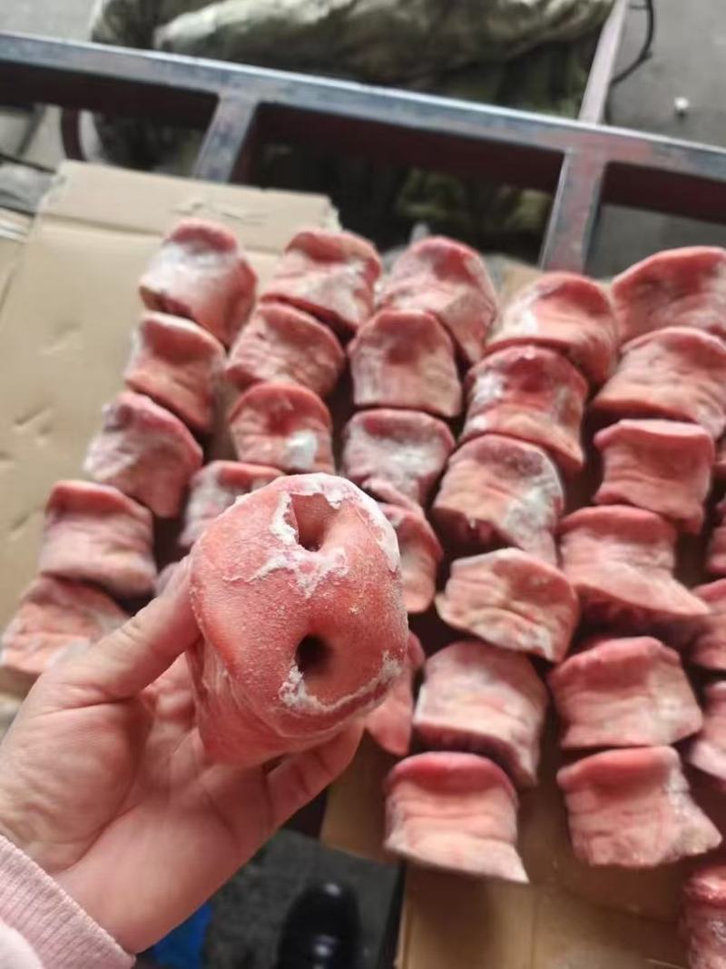 猪鼻子