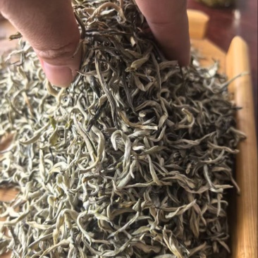 二号银芽单丝190元/公斤/13kg箱