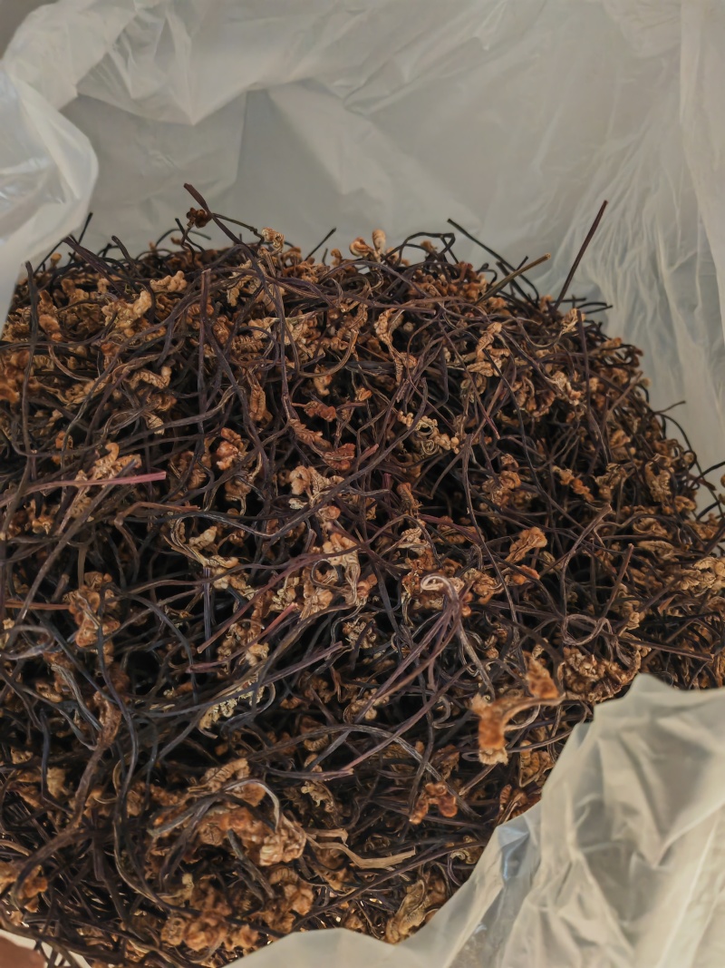 野生蕨菜蕨苔又叫拳头菜，猫爪菜，龙爪菜，自然晒干新品上市