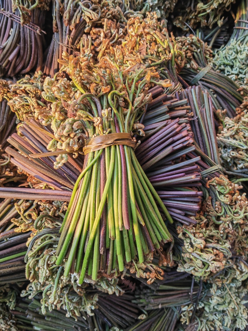 野生蕨菜蕨苔又叫拳头菜，猫爪菜，龙爪菜，自然晒干新品上市