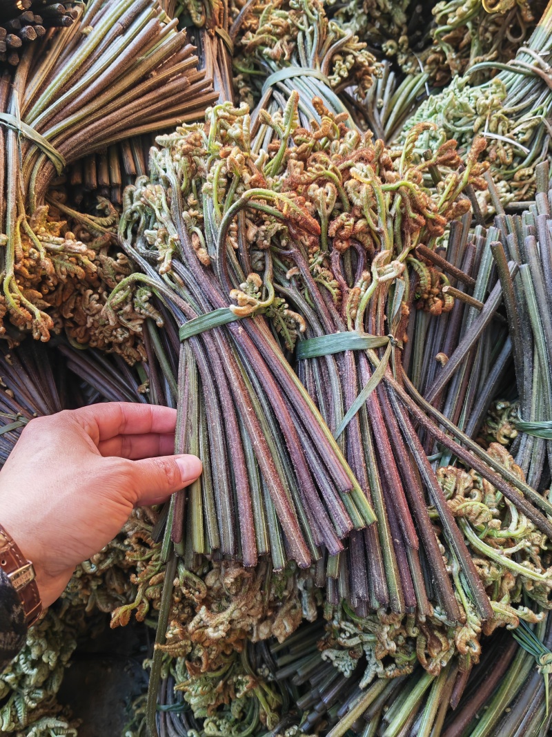 野生蕨菜蕨苔又叫拳头菜，猫爪菜，龙爪菜，自然晒干新品上市