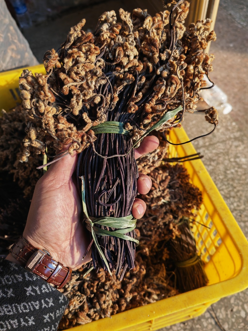 野生蕨菜蕨苔又叫拳头菜，猫爪菜，龙爪菜，自然晒干新品上市