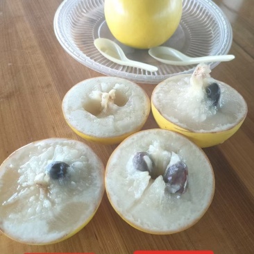 黄晶果（黄金果），冰淇淋果。