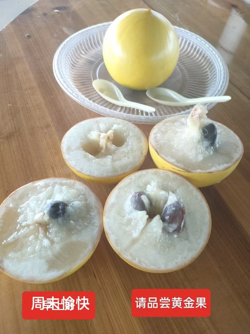 黄晶果（黄金果），冰淇淋果。