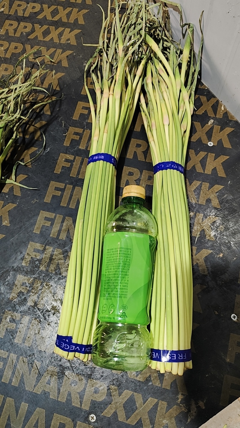 蒜薹河南红帽蒜薹杂交红帽蒜薹基地直发提供一条龙服务