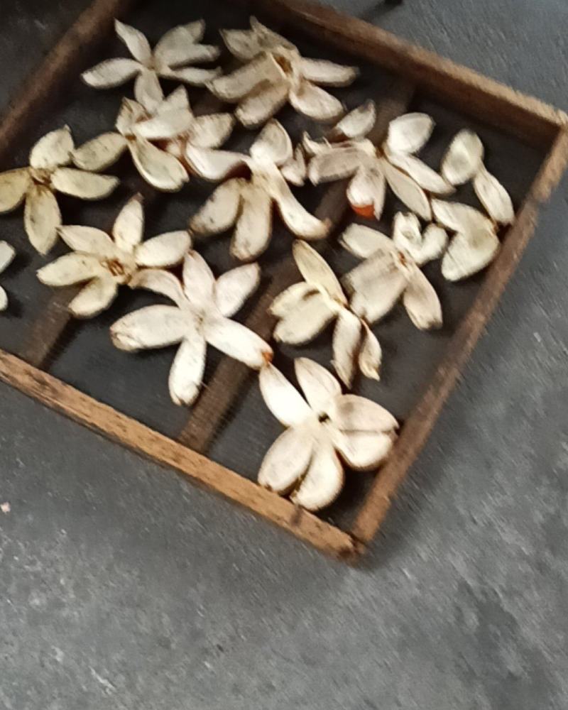 干小柚子果