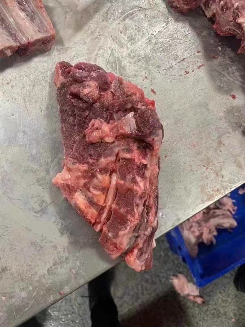 母猪颈骨