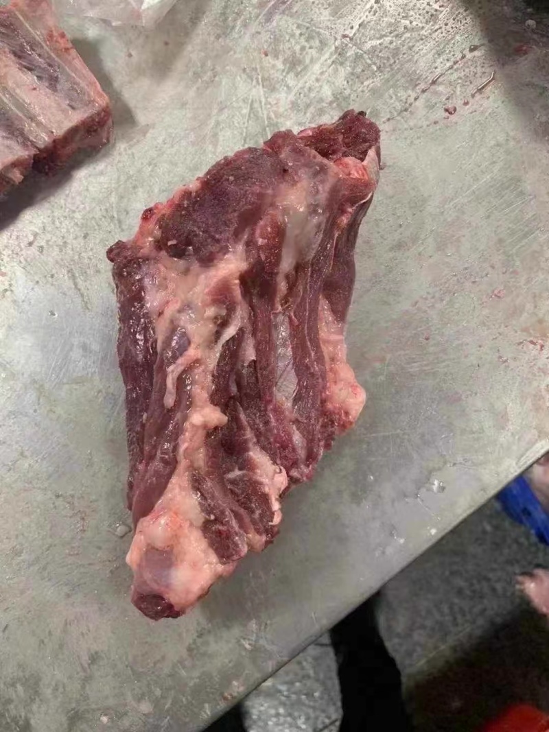 母猪颈骨