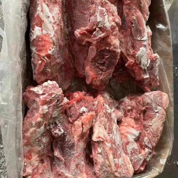 母猪颈骨