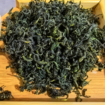 日照绿茶