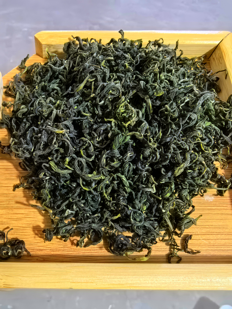 日照绿茶