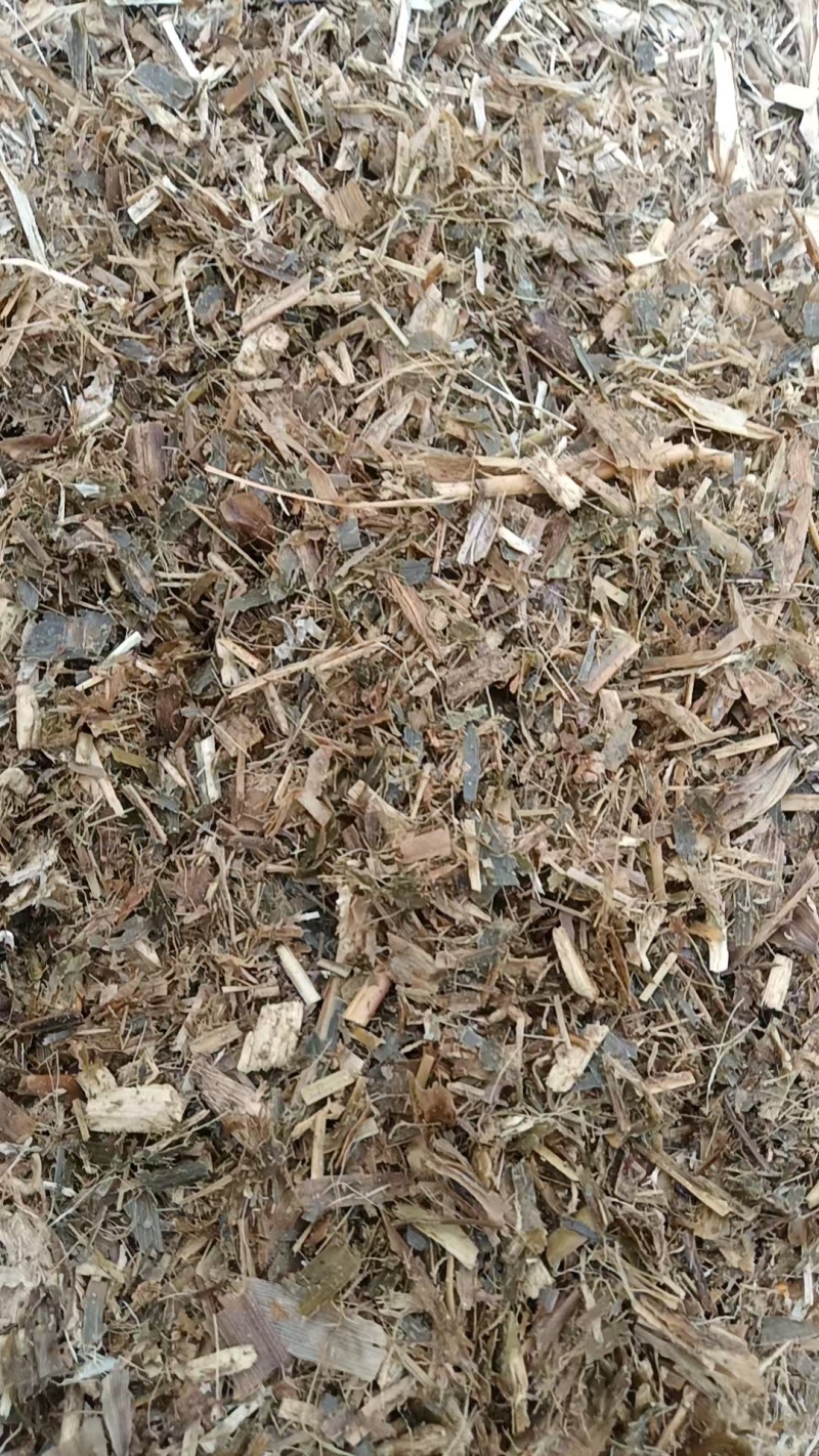 黄储草