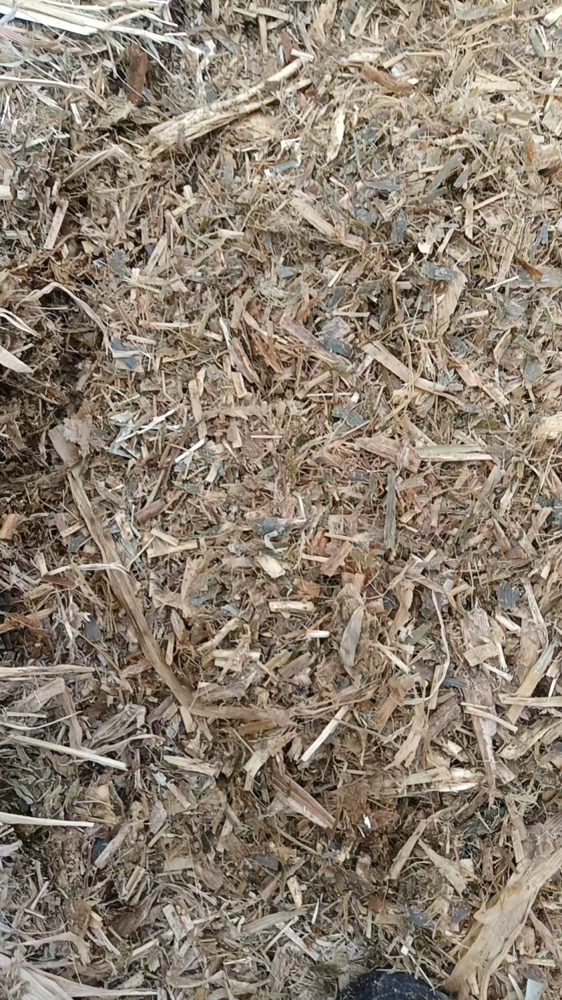 黄储草