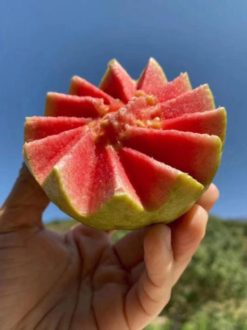 番石榴红心芭乐精品推荐