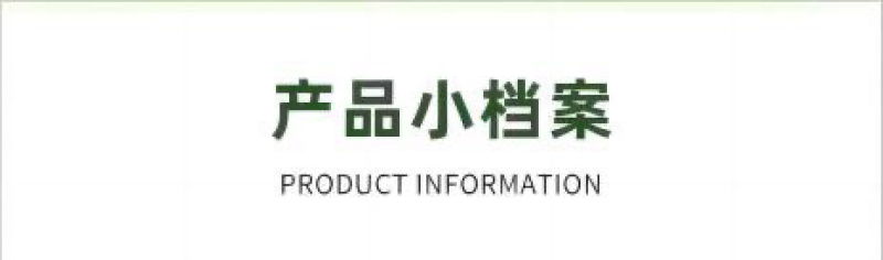 五常黄糯玉米白甜糯玉米独立真空包装8穗一箱营养早餐农村特产