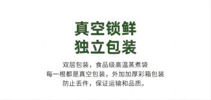 五常黄糯玉米白甜糯玉米独立真空包装8穗一箱营养早餐农村特产