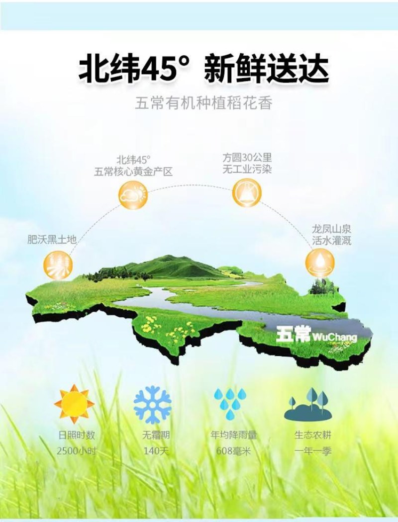 【裕稻皇粮】五常粥米稻花香粥米5斤真空装农村大米特产东北大米
