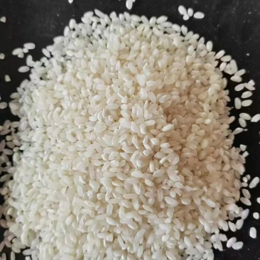 开库产品，A级桂朝米，陈纯圆