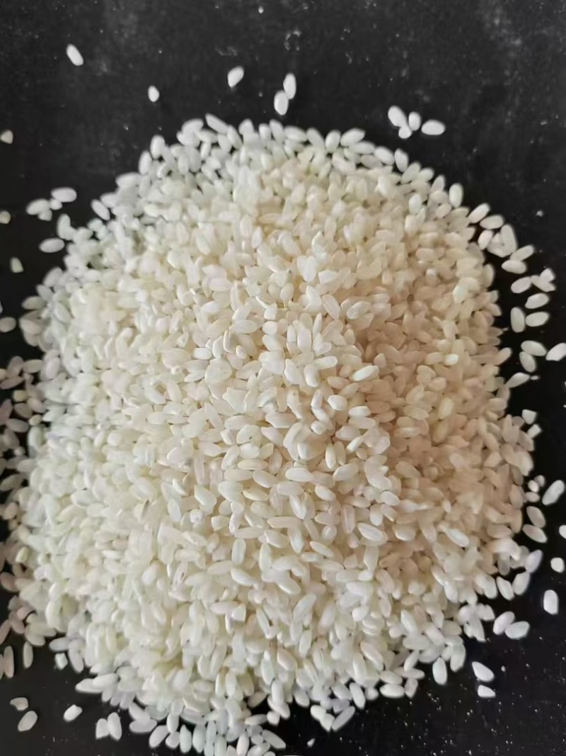 开库产品，A级桂朝米，陈纯圆