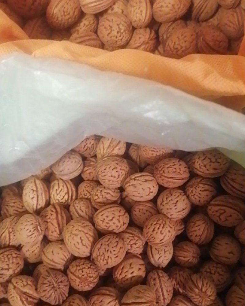 蟠桃核，