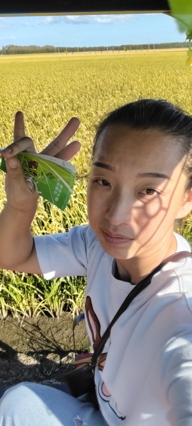 粳米圆粒长粒稻花香黑龙江优质米源