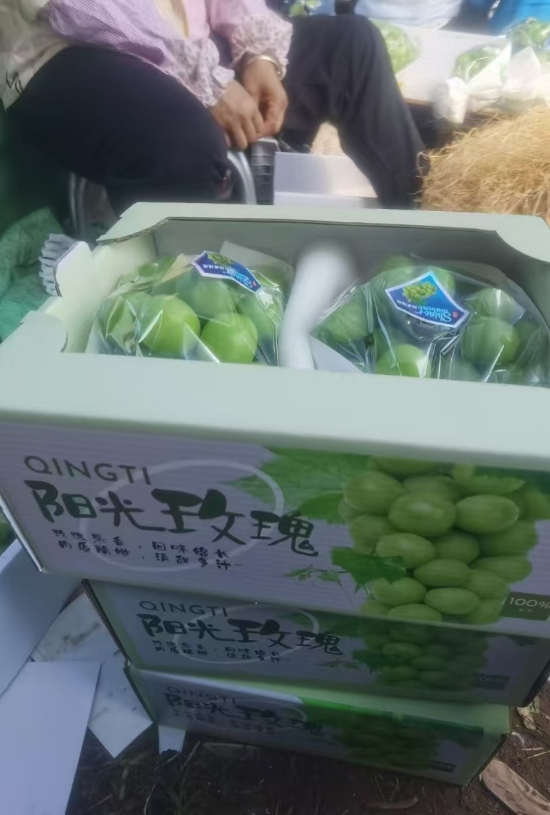 云南高原阳光玫瑰