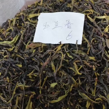 凤凰单丛茶。