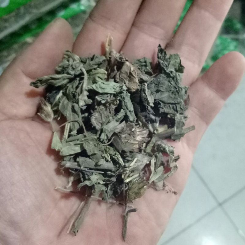 地胆草1公斤中药材地胆草苦地胆草鞋根草鞋底地胆头