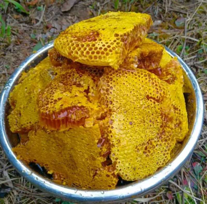 土蜂蜜山货正宗云南特产