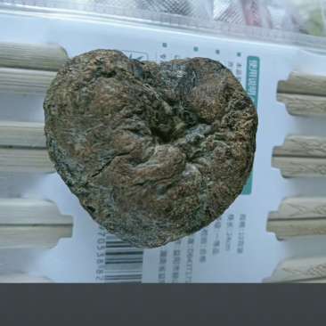鹅宝