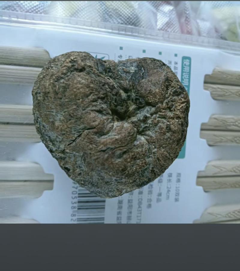 鹅宝