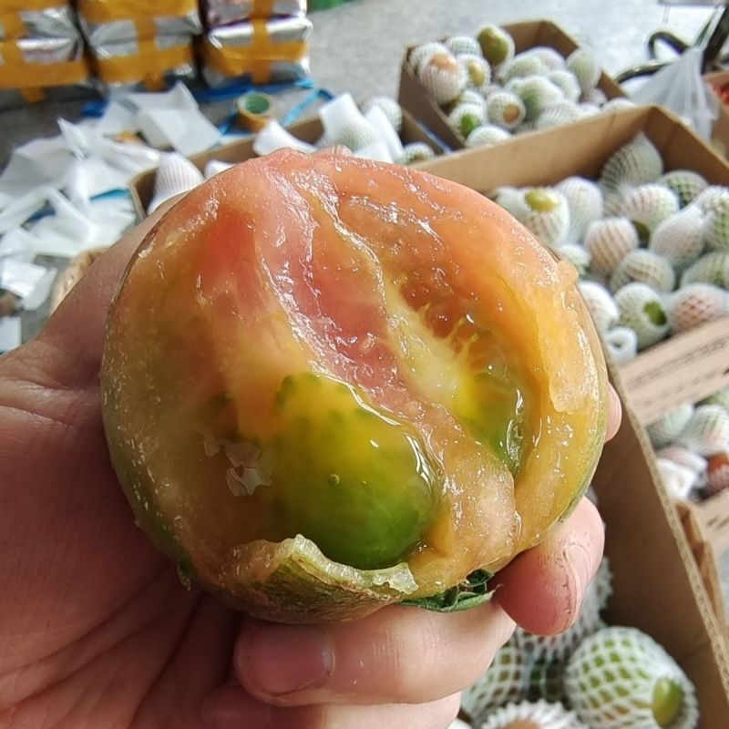 铁皮柿子一件代发社区团购