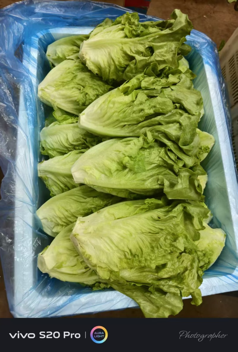 喜欢的老板来看货