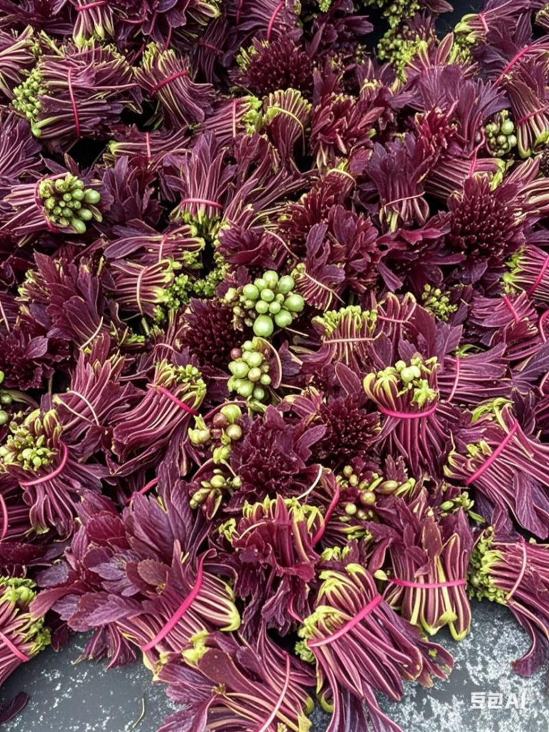 红香椿芽