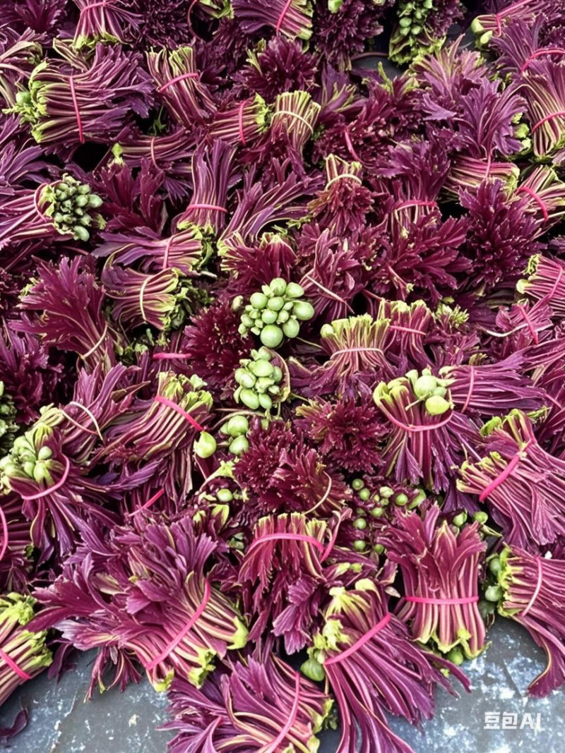 红香椿芽
