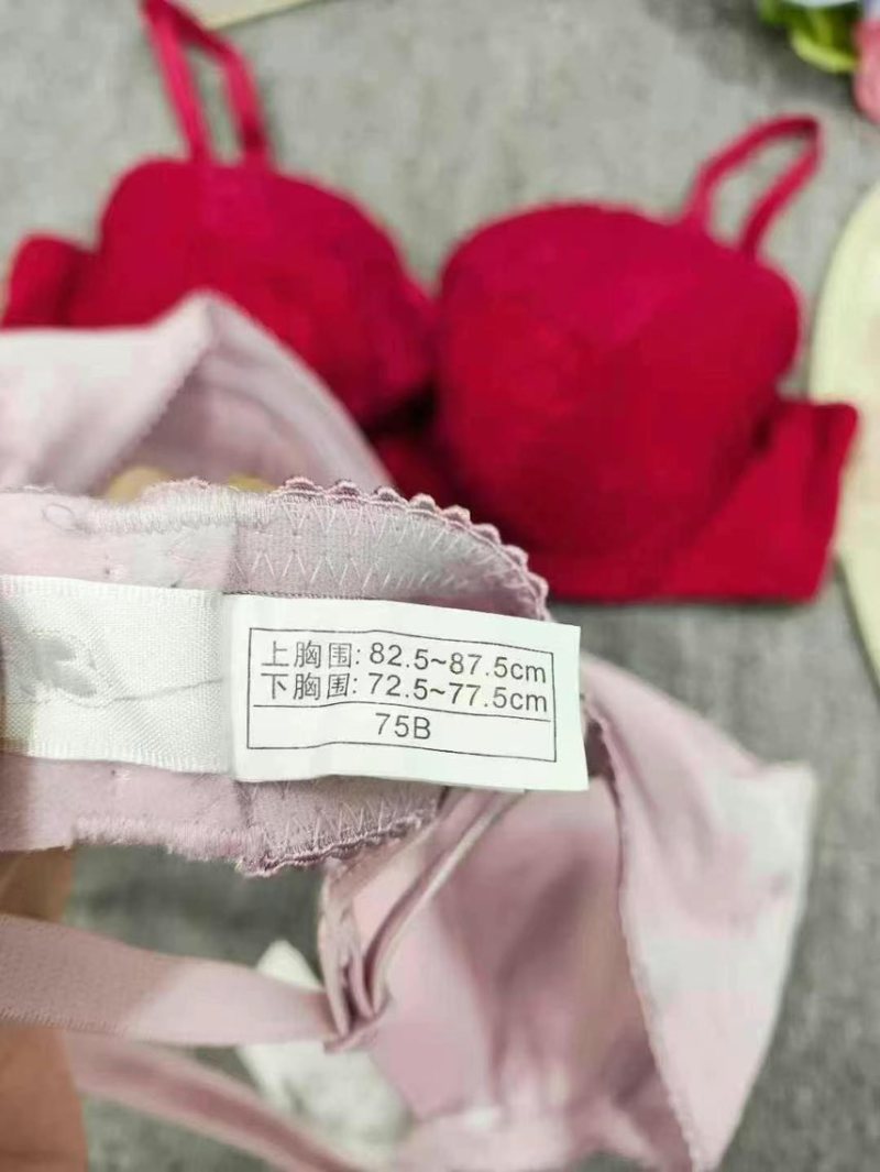 4.8清工厂回收2650件左右女士桑蚕丝文胸内衣