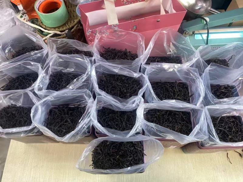 饶平单丛茶