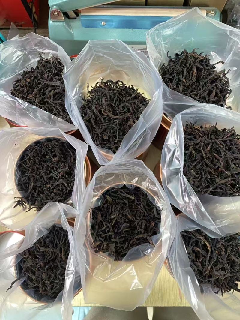 饶平单丛茶