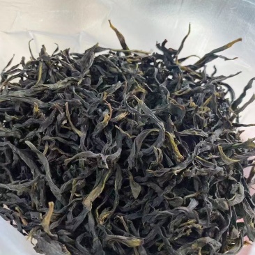 饶平单丛茶